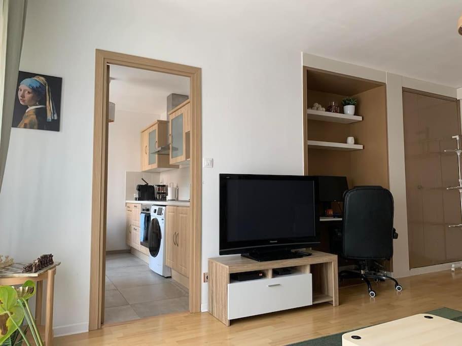 Grand Appartement - Nancy Centre - 2 Chambres 2 Lits Eksteriør billede