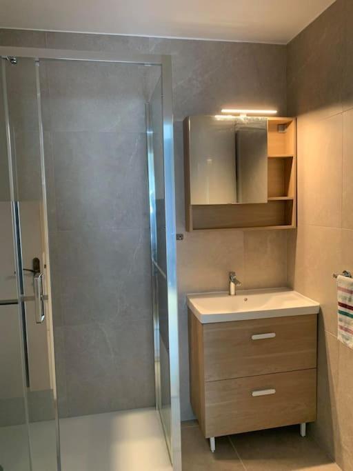 Grand Appartement - Nancy Centre - 2 Chambres 2 Lits Eksteriør billede